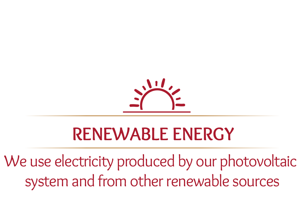 stabilimento che usa energia rinnovabile