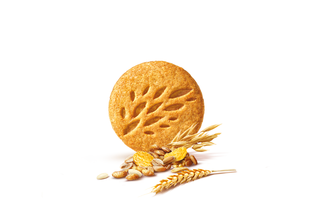 composit prodotto